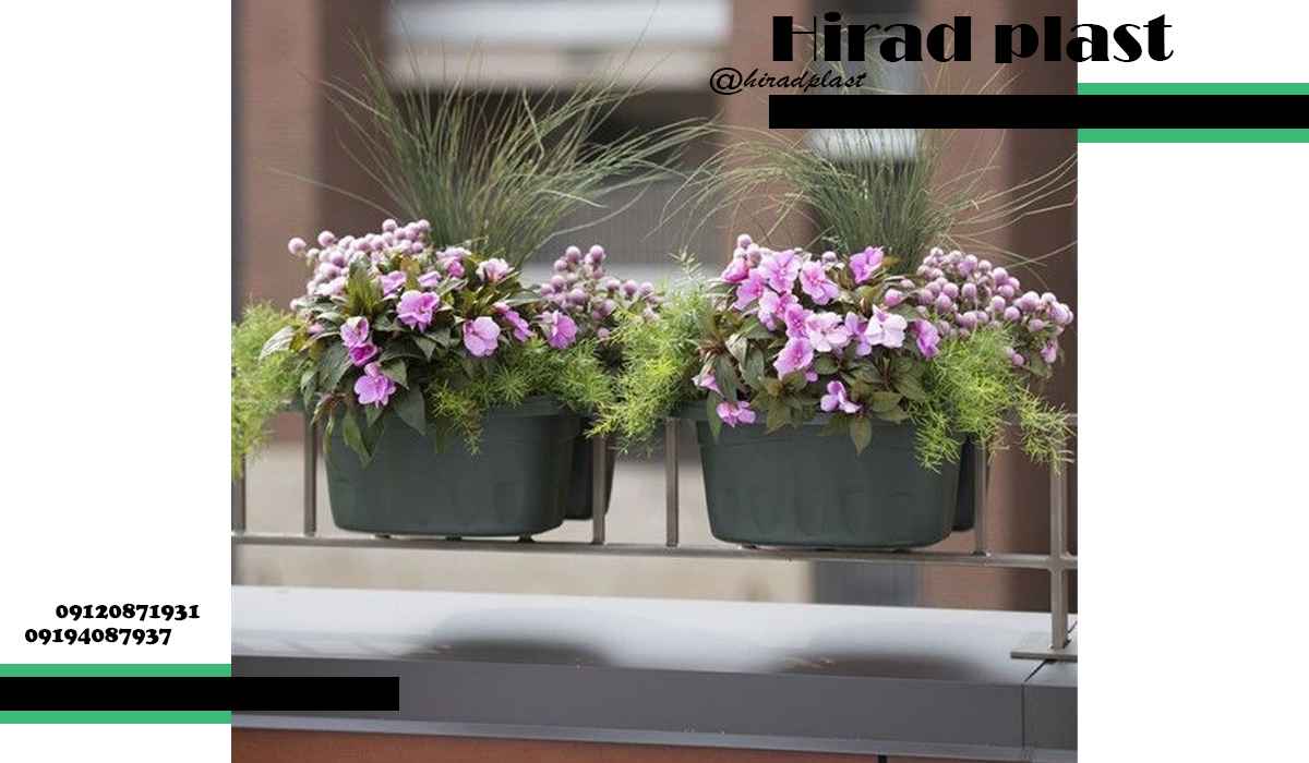 گلدان اپارتمانی