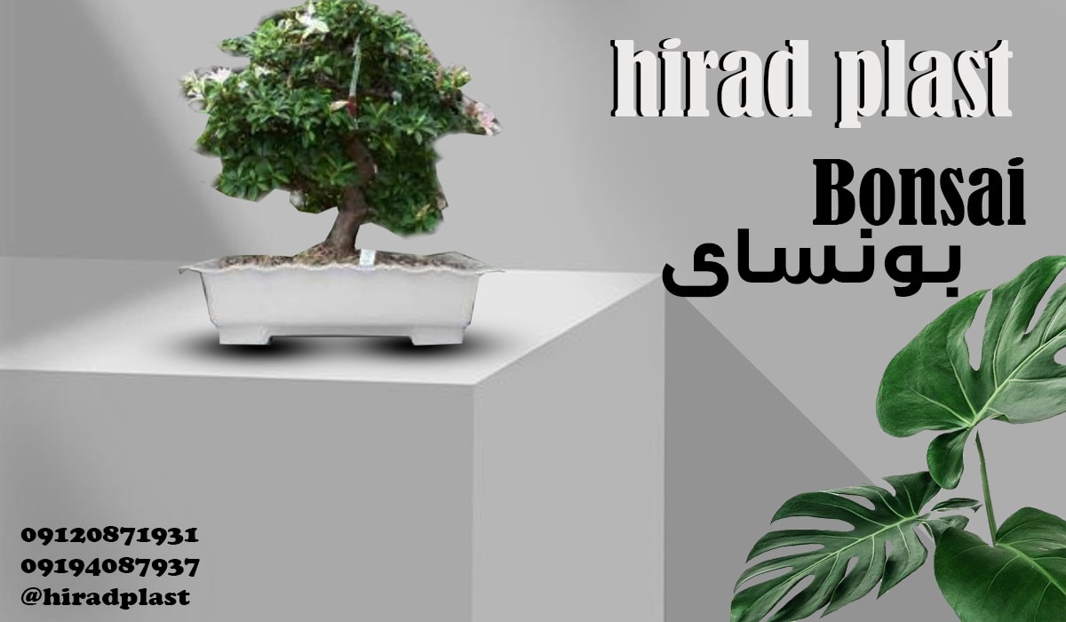 گلدان پلاستیکی مستطیل بزرگ سانسوریا