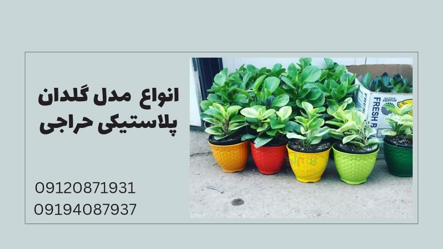 انواع مدل گلدان پلاستیکی حراجی