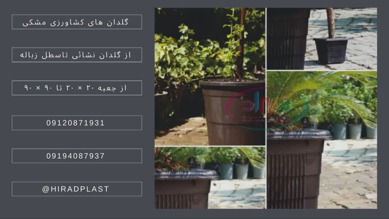 خرید گلدان پلاستیکی سیاه