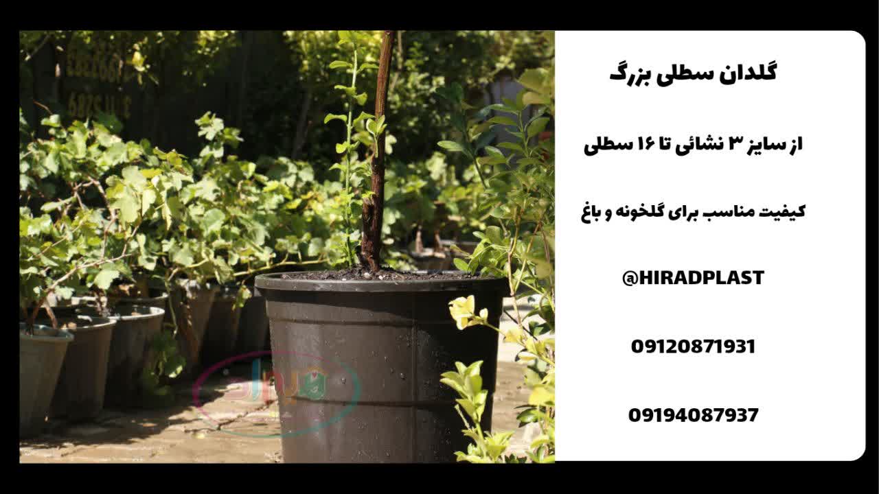 گلدان گلخانه ای ارزان