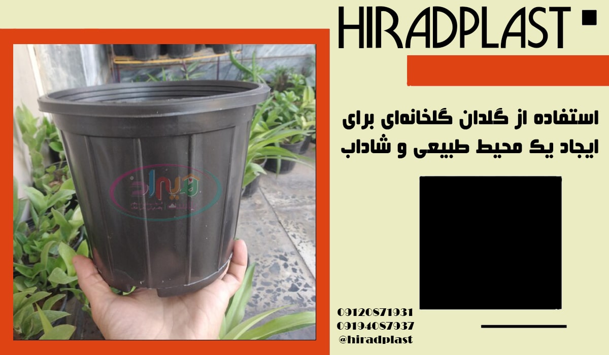 گلدان گلخانه ای دیجی کالا