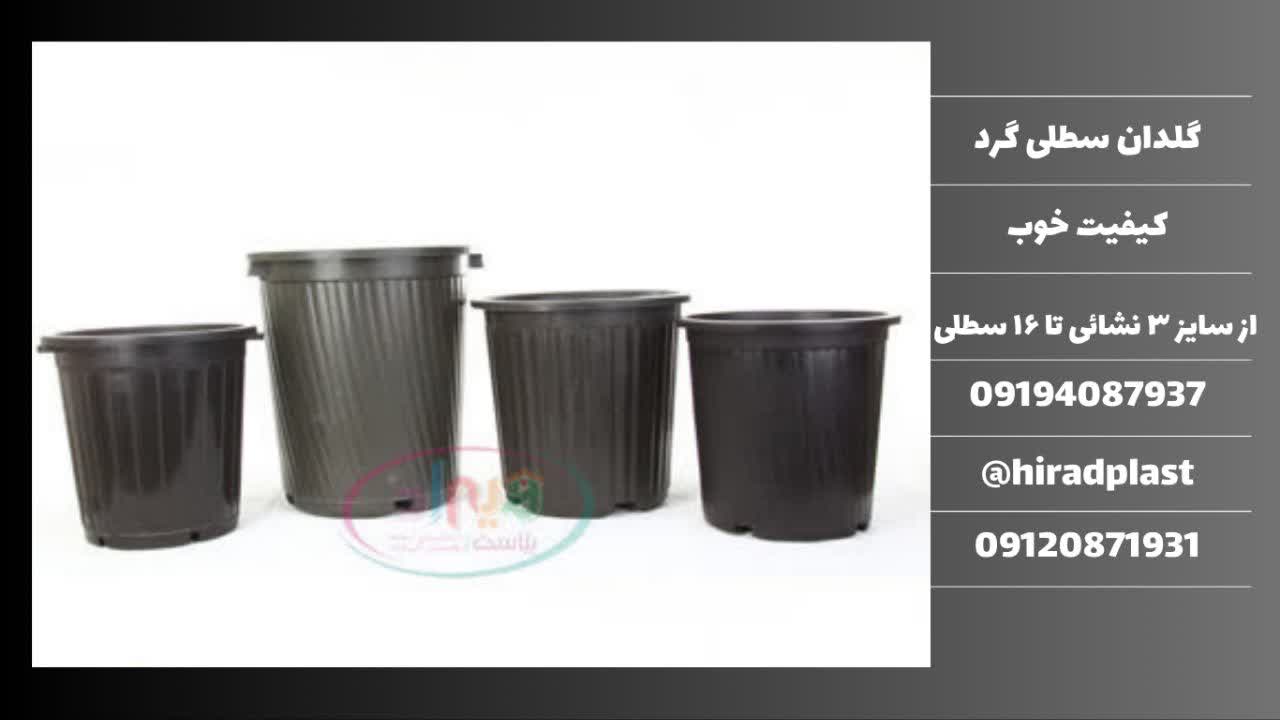 گلدان گلخانه ای دیجی کالا