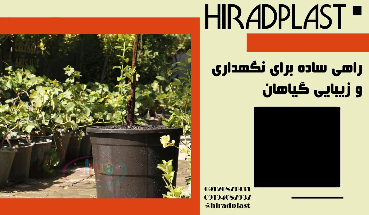 گلدان گلخانه مشکی