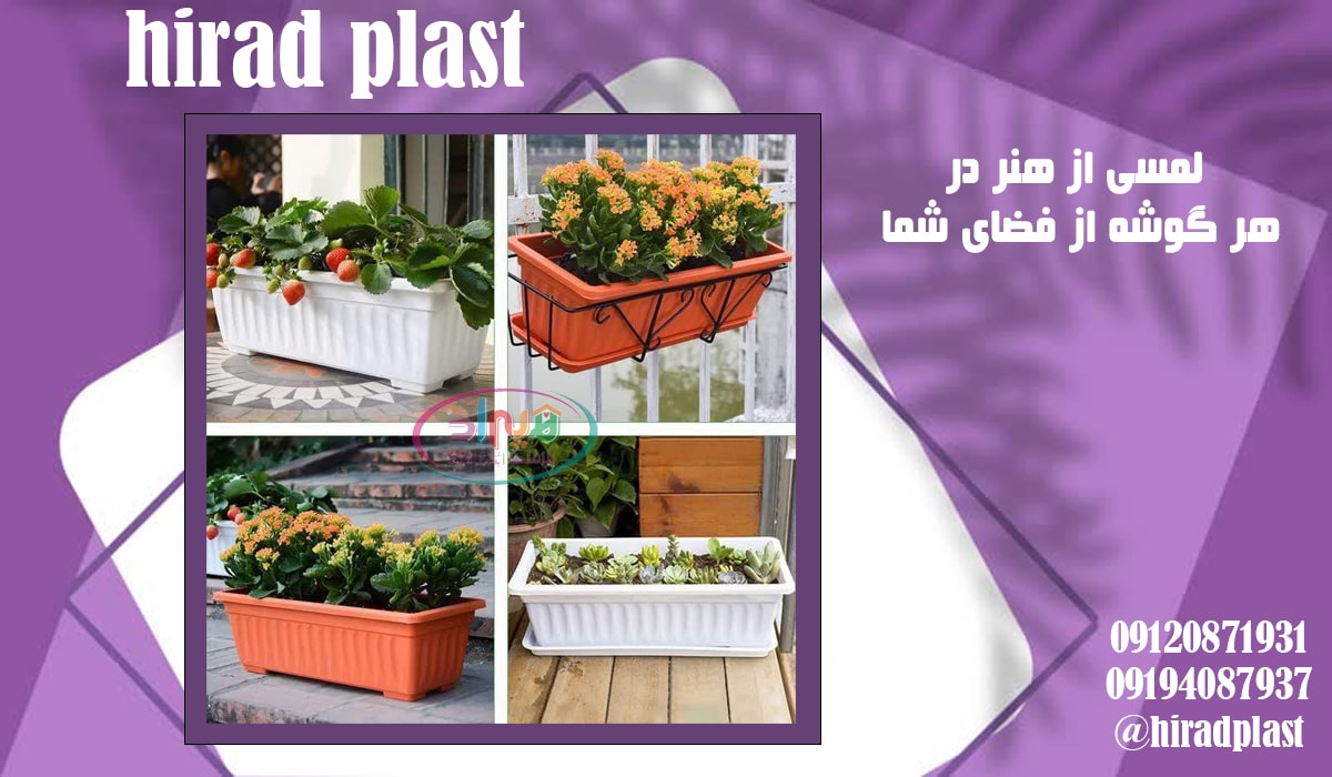 فلاورباکس ارزان قیمت