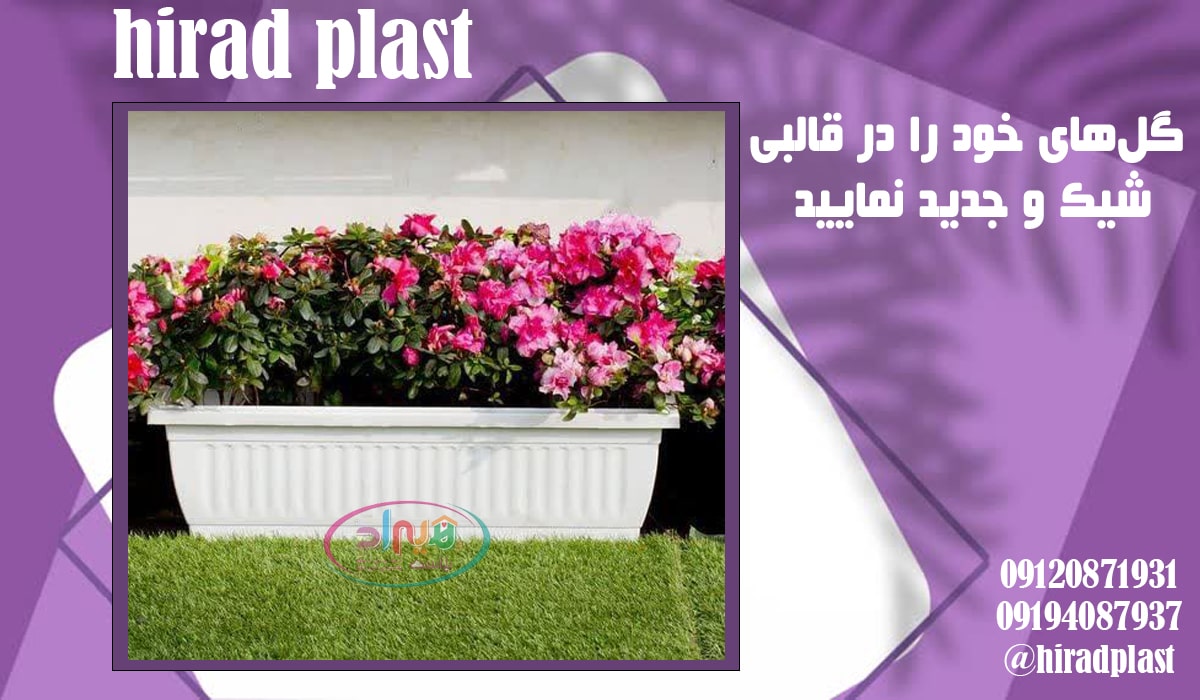 گلدان پلاستیکی